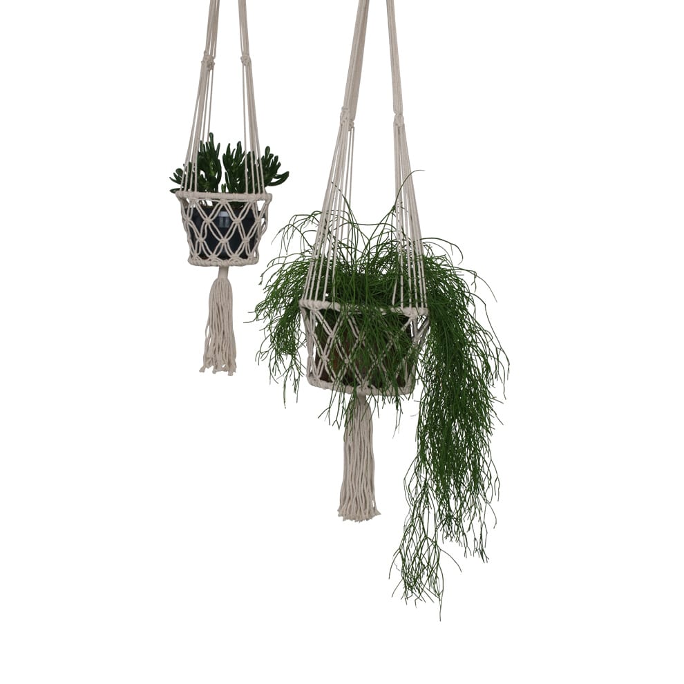Makramee Blumenampel / Plant Hanger aus Baumwolle Ø 22 cm, H 105 cm