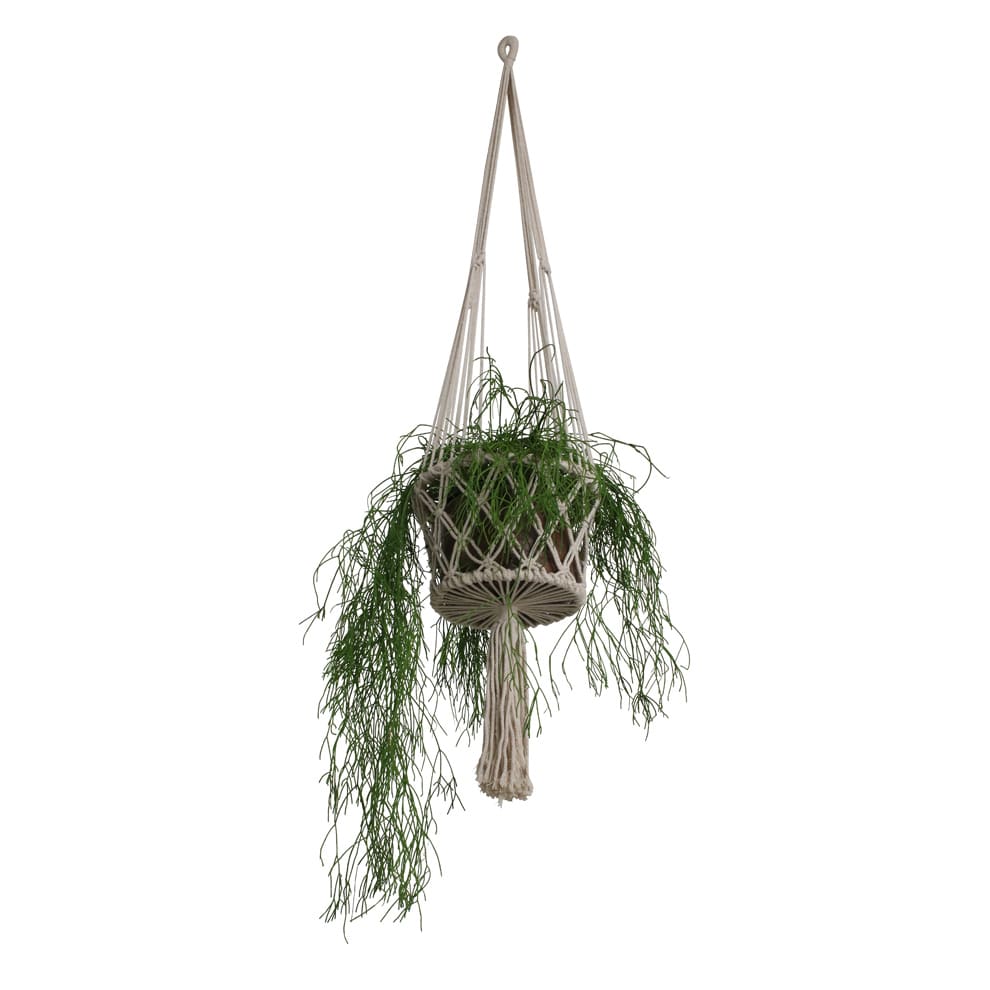 Makramee Blumenampel / Plant Hanger aus Baumwolle Ø 22 cm, H 105 cm