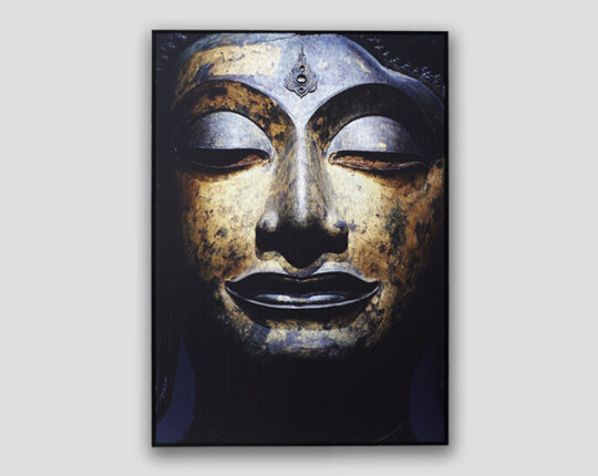 Gerahmtes Bild India aus Aluminium Dialma Brown