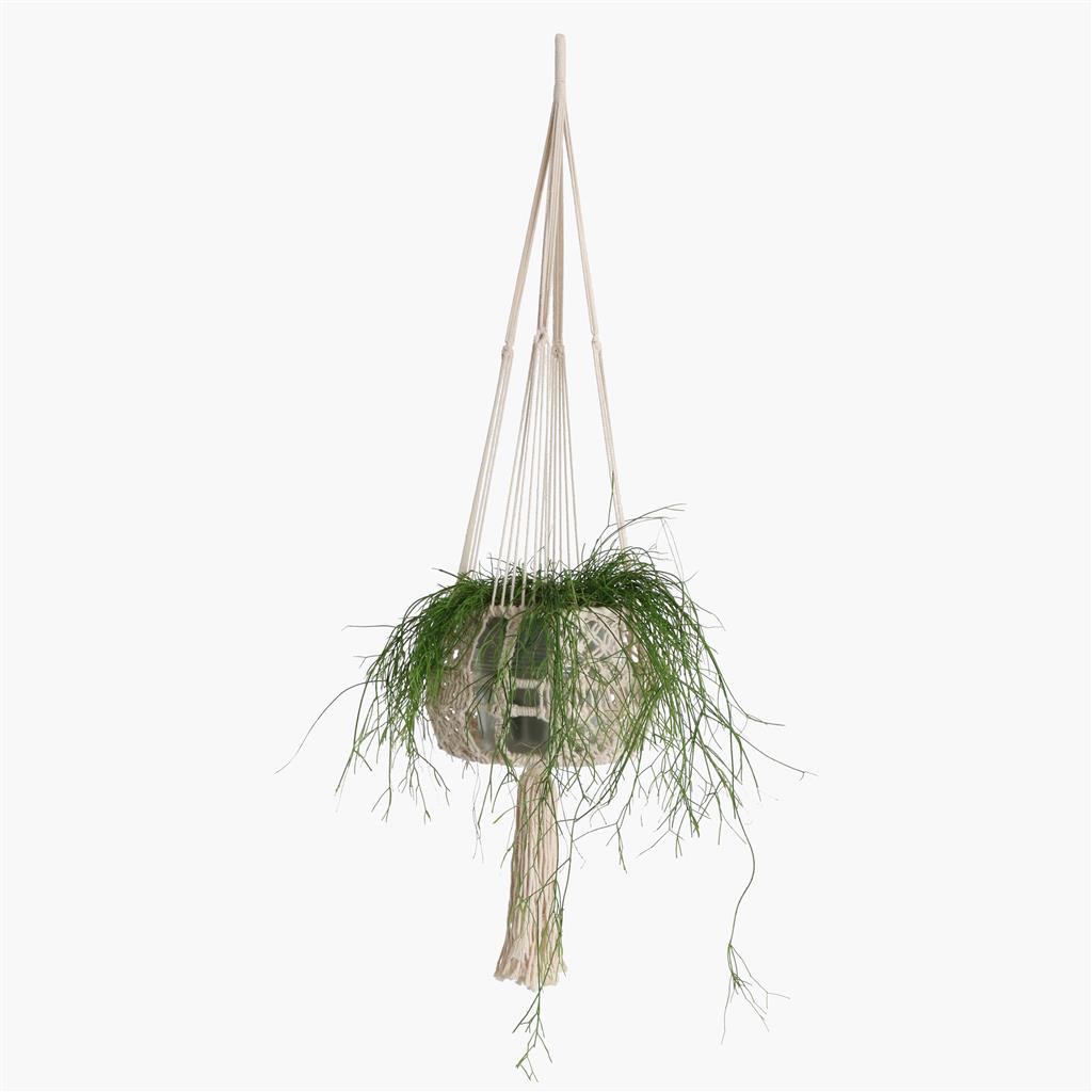 Makramee Blumenampel aus Baumwolle large