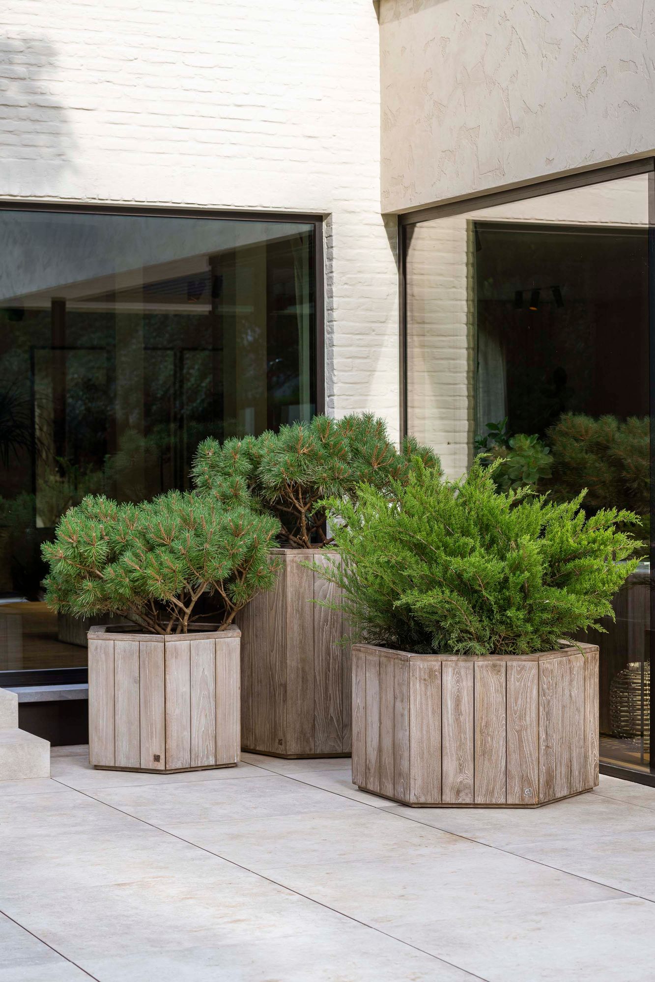 Gommaire Pflanzkübel Logan Hexagon High aus Teakholz für Outdoor | Gommaire bei STUFF Shop kaufen