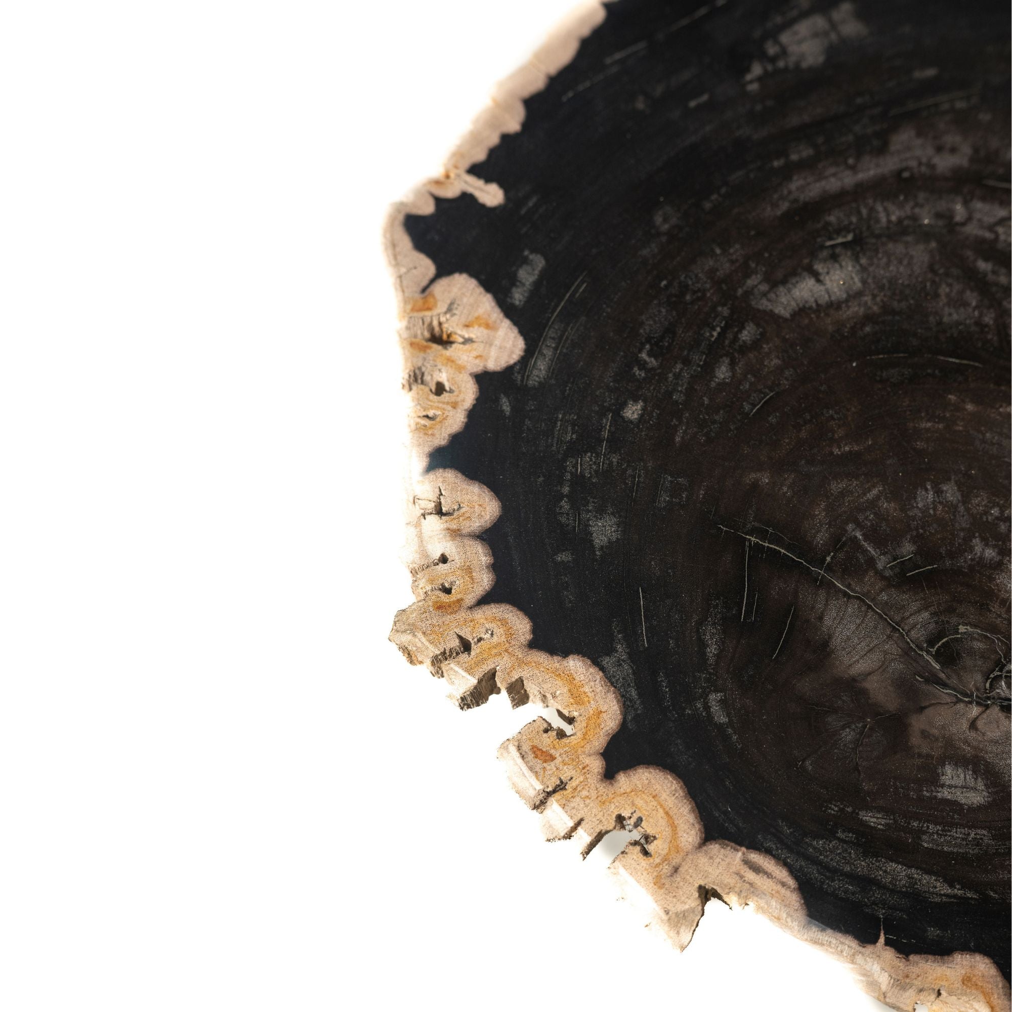 Beistelltisch Jisse Black Versteinertes Holz