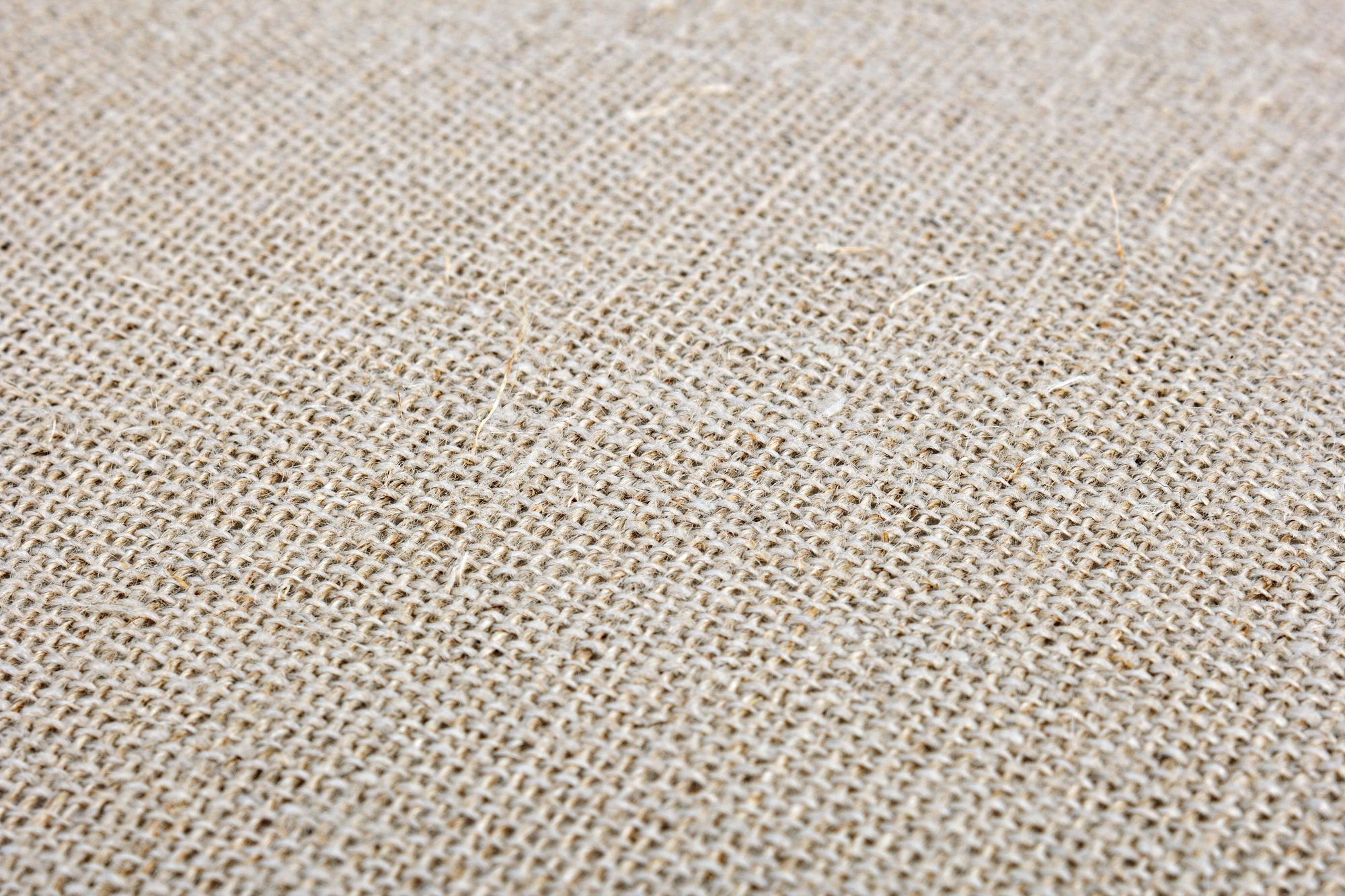 Indoor Sofa Sessel Catherine im Wohnambiente | zeitloses Design, hochwertig verarbeitet, ideal für Wohn- und Essbereich | Ansicht 06