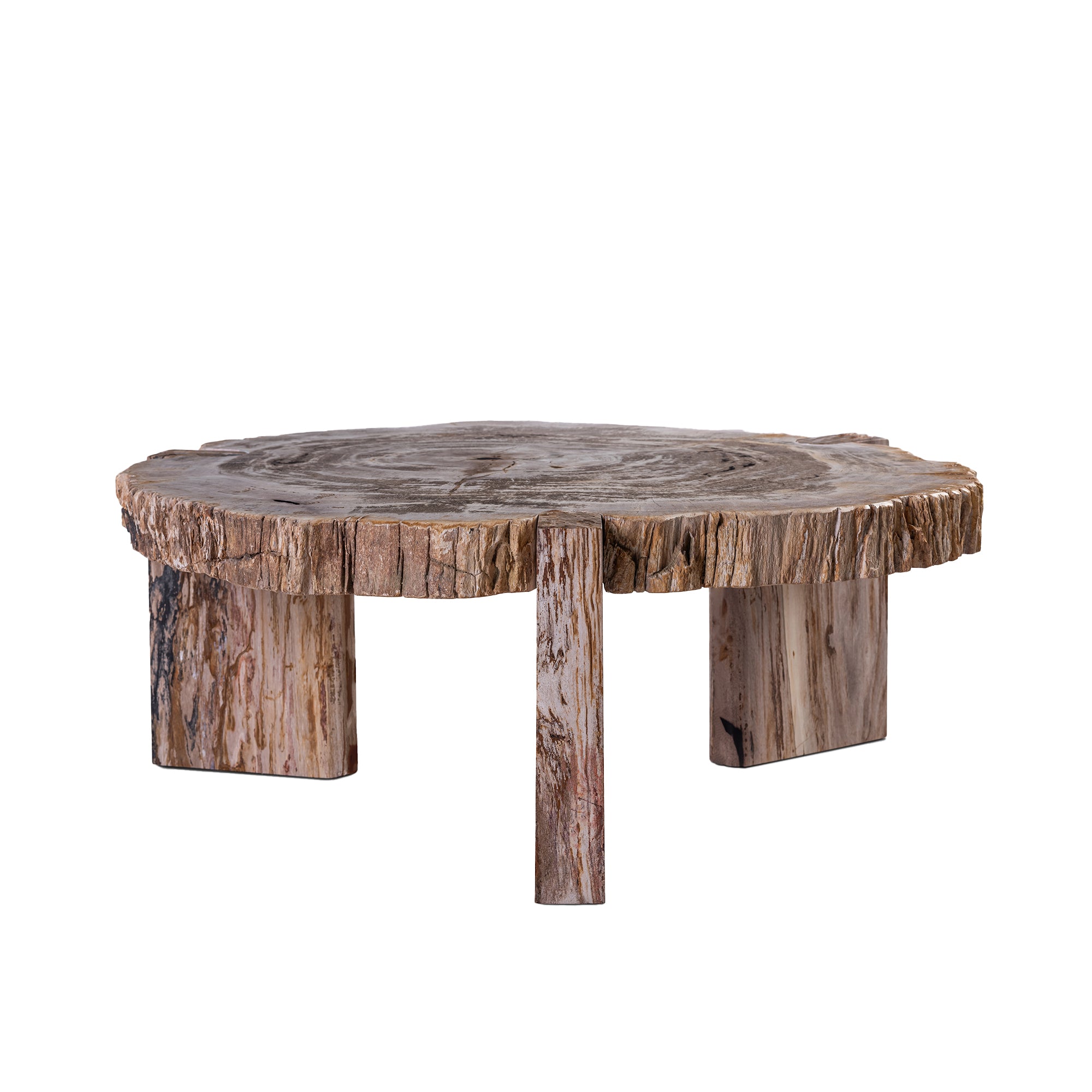 Couchtisch Kayo Low aus versteinertem Holz rund Natur Unikat | PTMD bei STUFF Shop kaufen