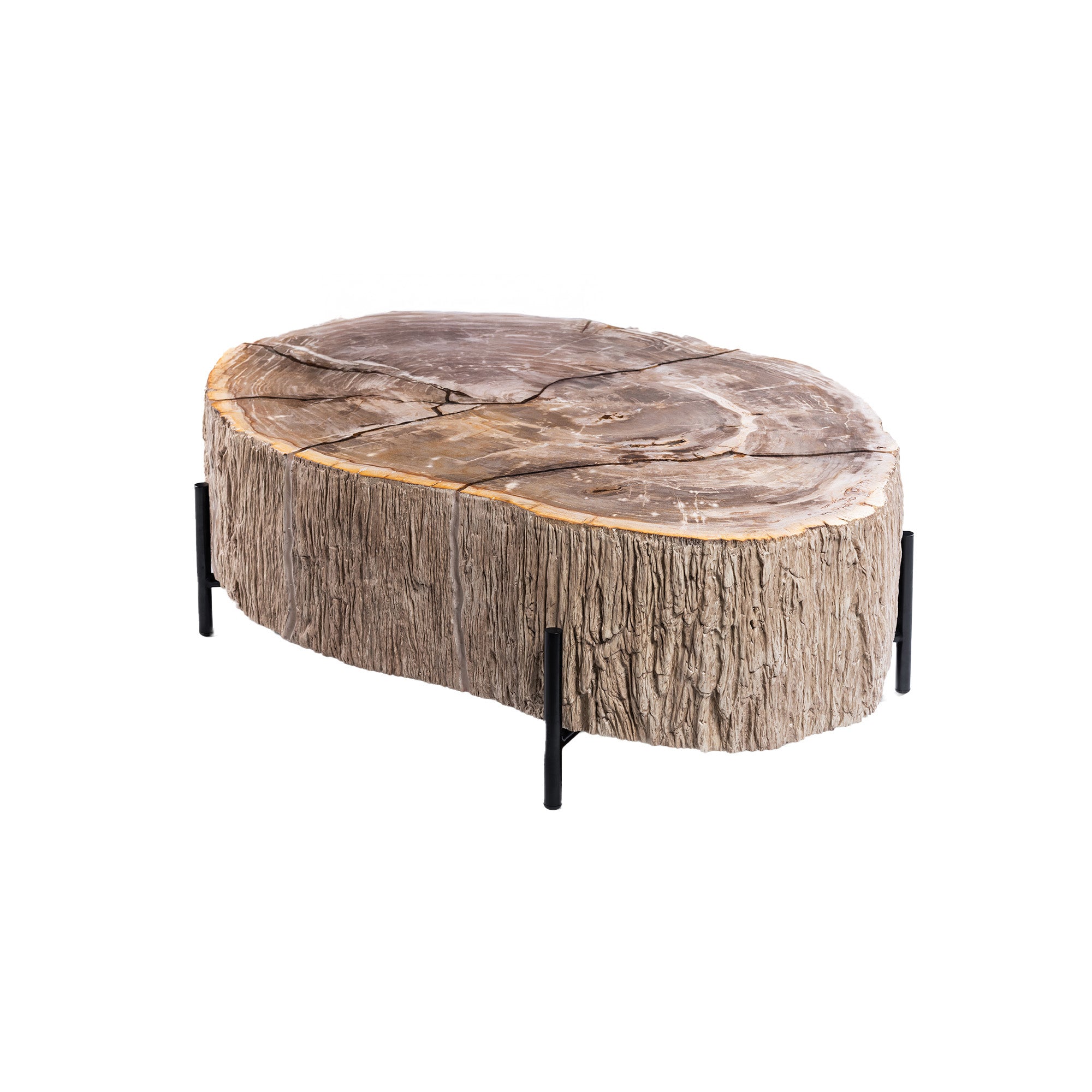 Couchtisch Taly Detail Oberfläche Petrified Wood Struktur Natur | PTMD bei STUFF Shop kaufen