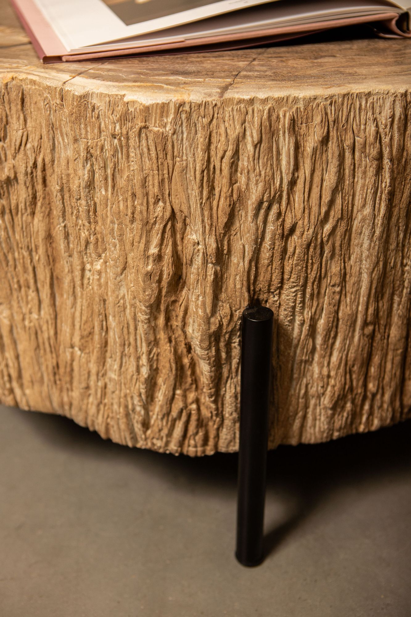 Couchtisch Taly Detail Oberfläche Petrified Wood Struktur Natur | PTMD bei STUFF Shop kaufen