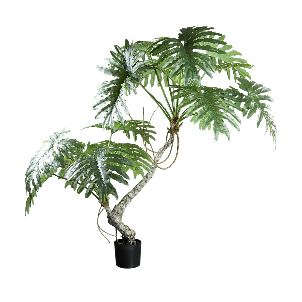 Künstlicher Philodendron Selloum im schwarzen Topf, 170 cm hoch | PTMD bei STUFF Shop kaufen