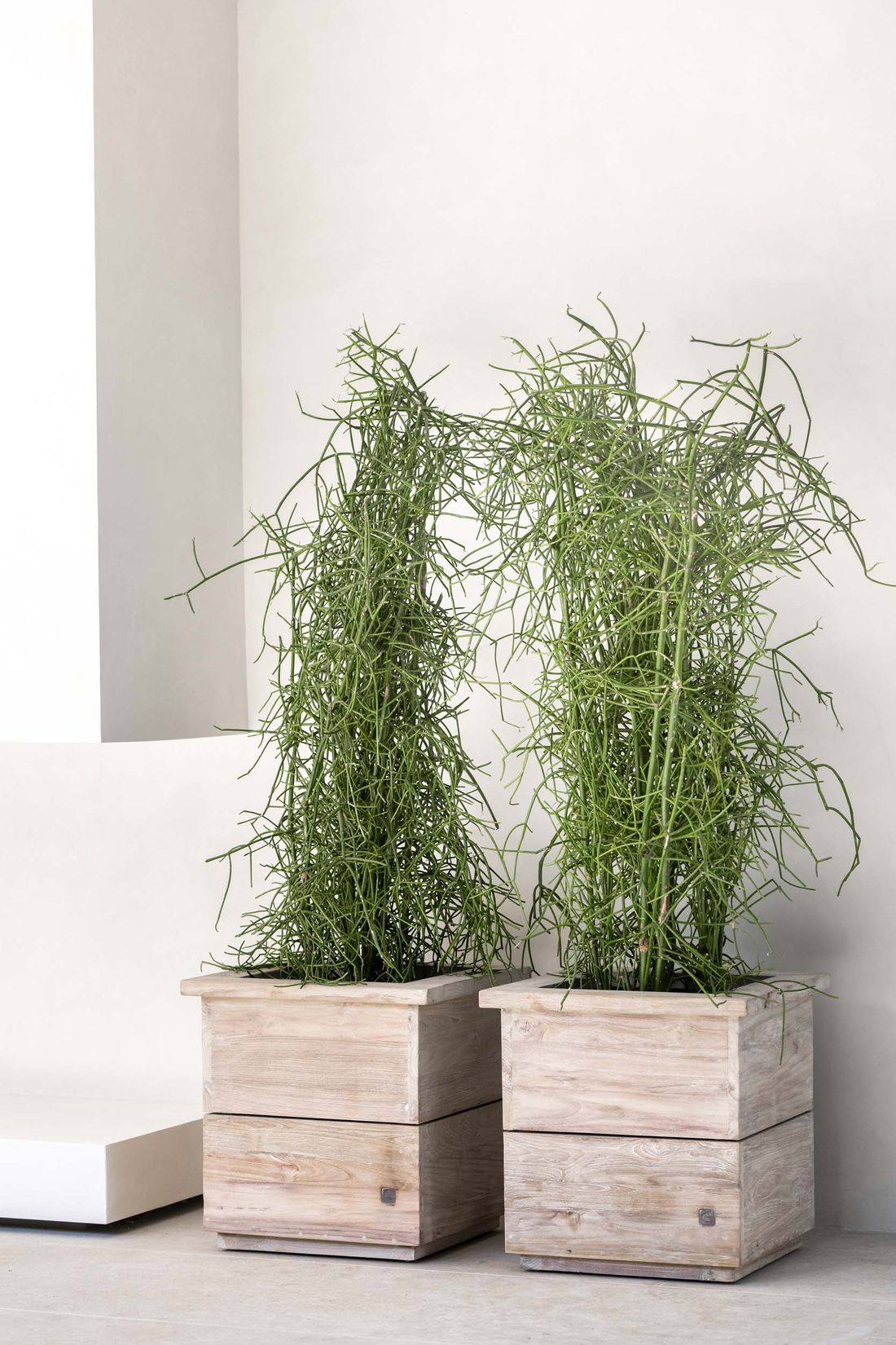 Pflanzkübel Ferdy_50 aus Teakholz