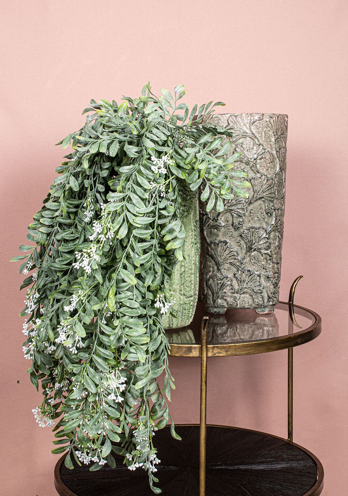 Blätter Pflanze grüne Hängepflanze mit Beeren