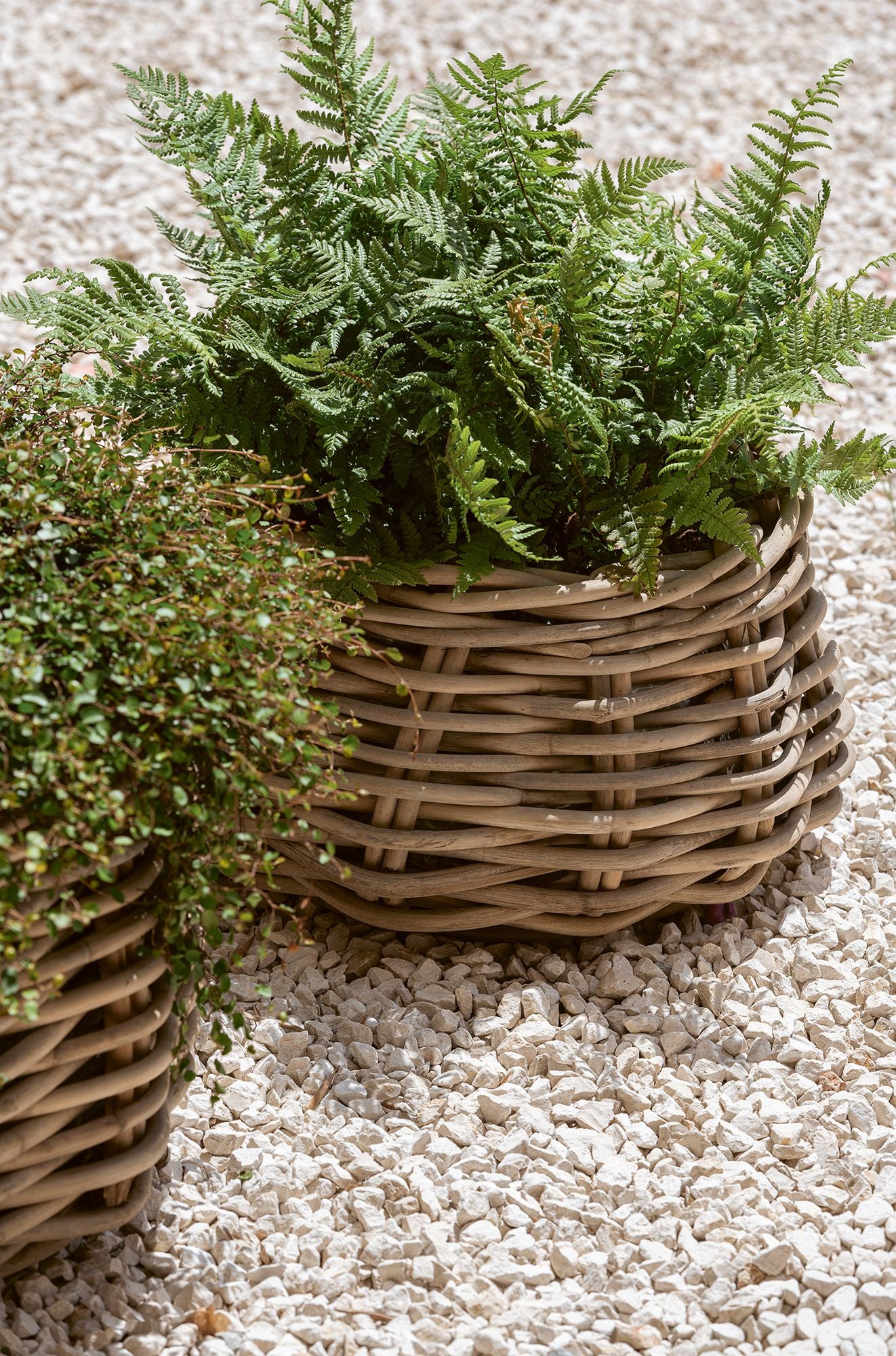 Gommaire Pflanzkorb Eric Low aus Rattan als Set aus zwei Körben für Outdoor auf einer Terasse | Gommaire bei STUFF Shop kaufen