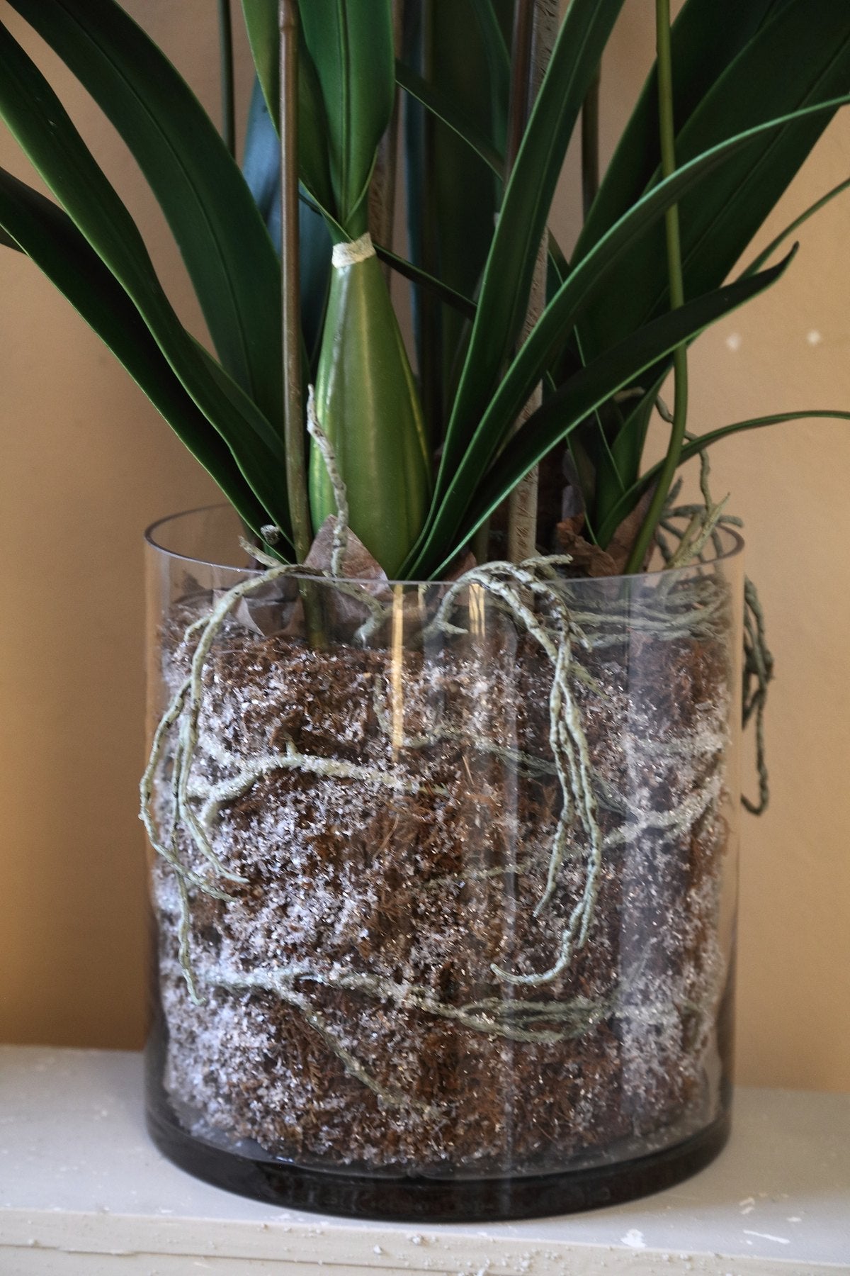 Detail der roten Orchideenblüten