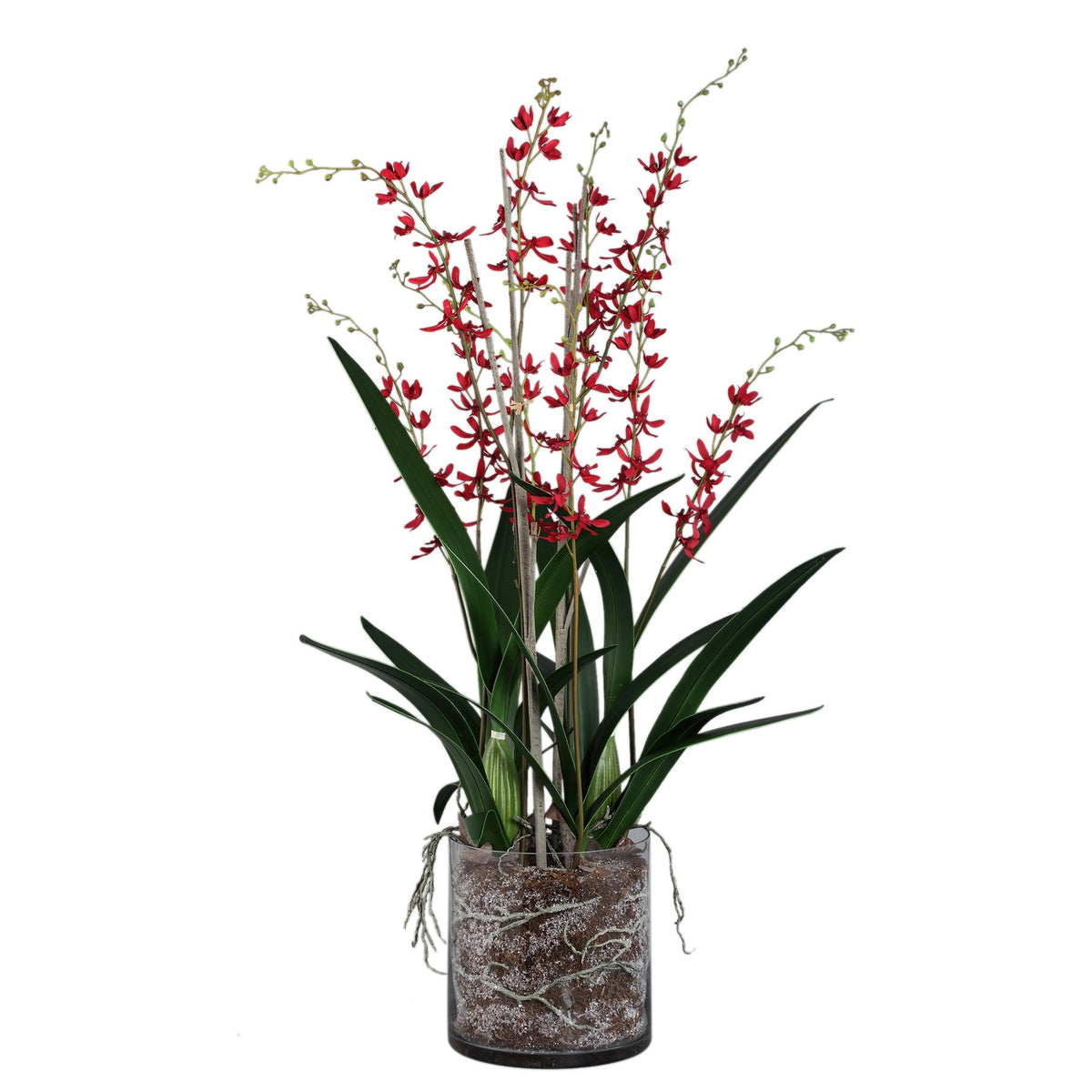 Kunst Orchidee Renanthera Rot in Glasvase von PTMD, freigestellt