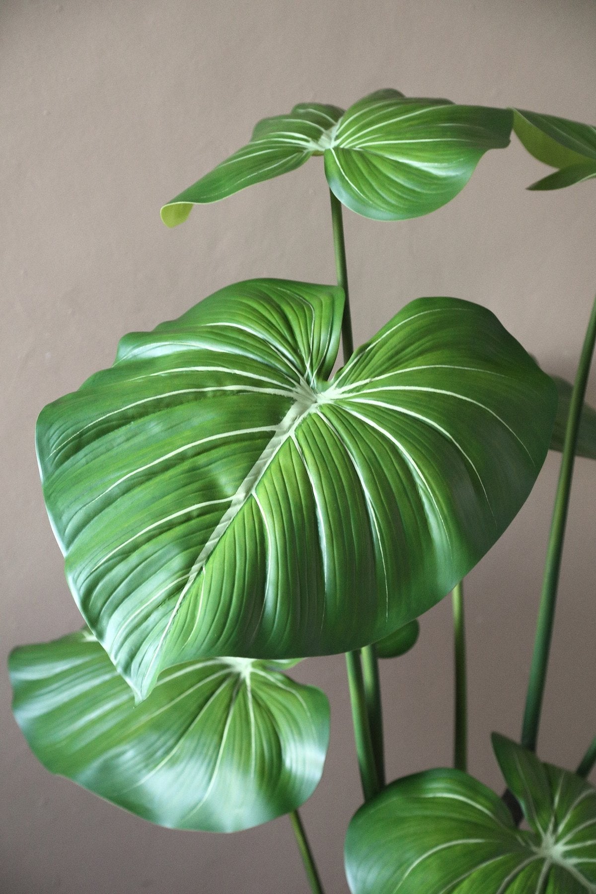 Detail der großen Blätter des künstlichen Philodendron
