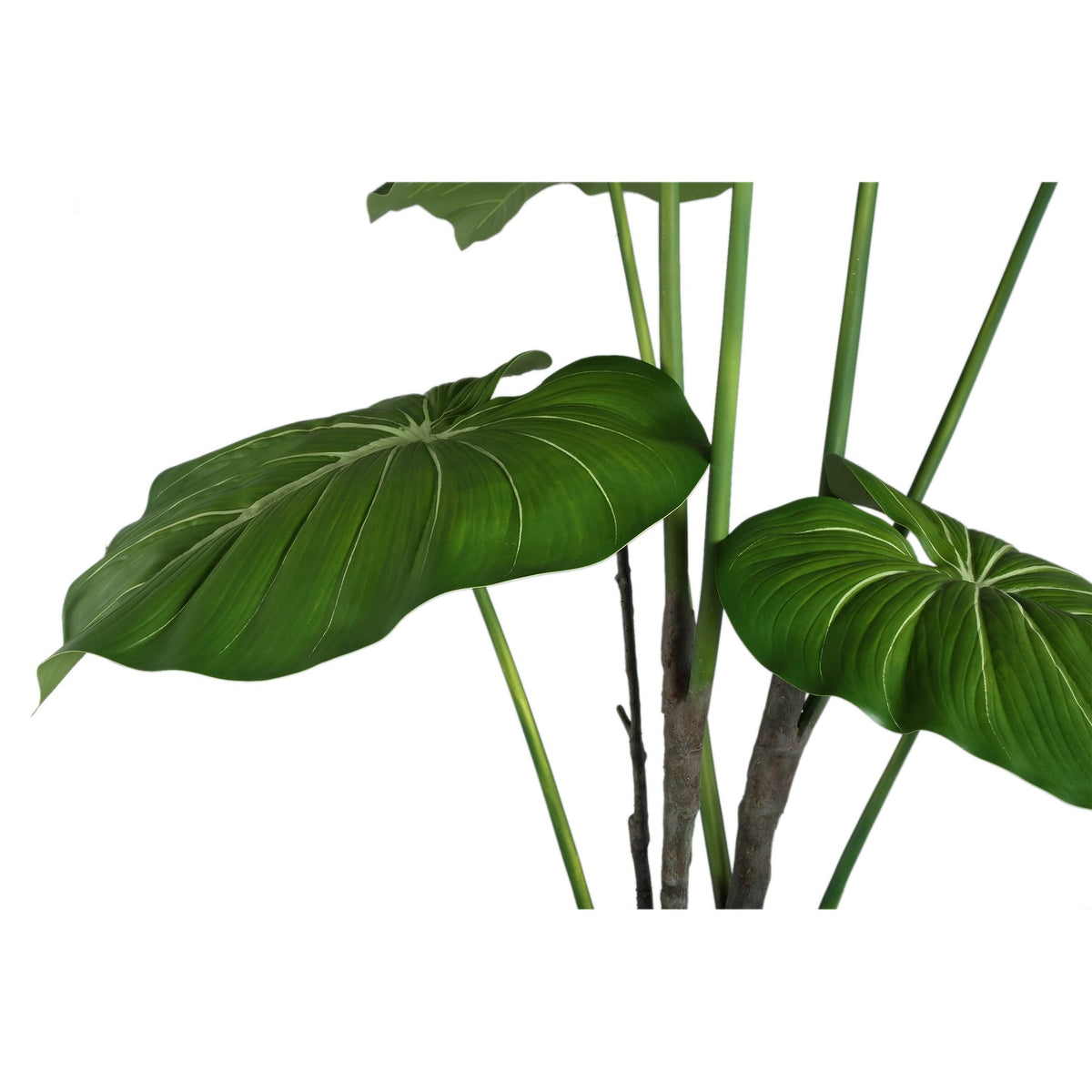 Detail der großen Blätter des künstlichen Philodendron