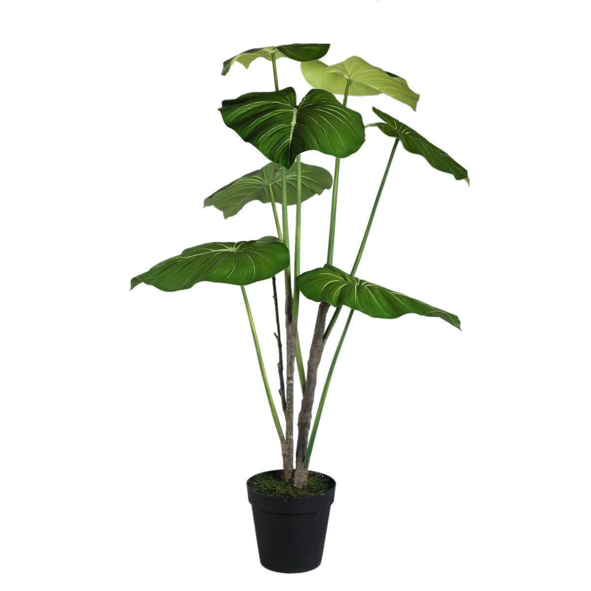 Kunst Philodendron im Topf von PTMD, freigestellt