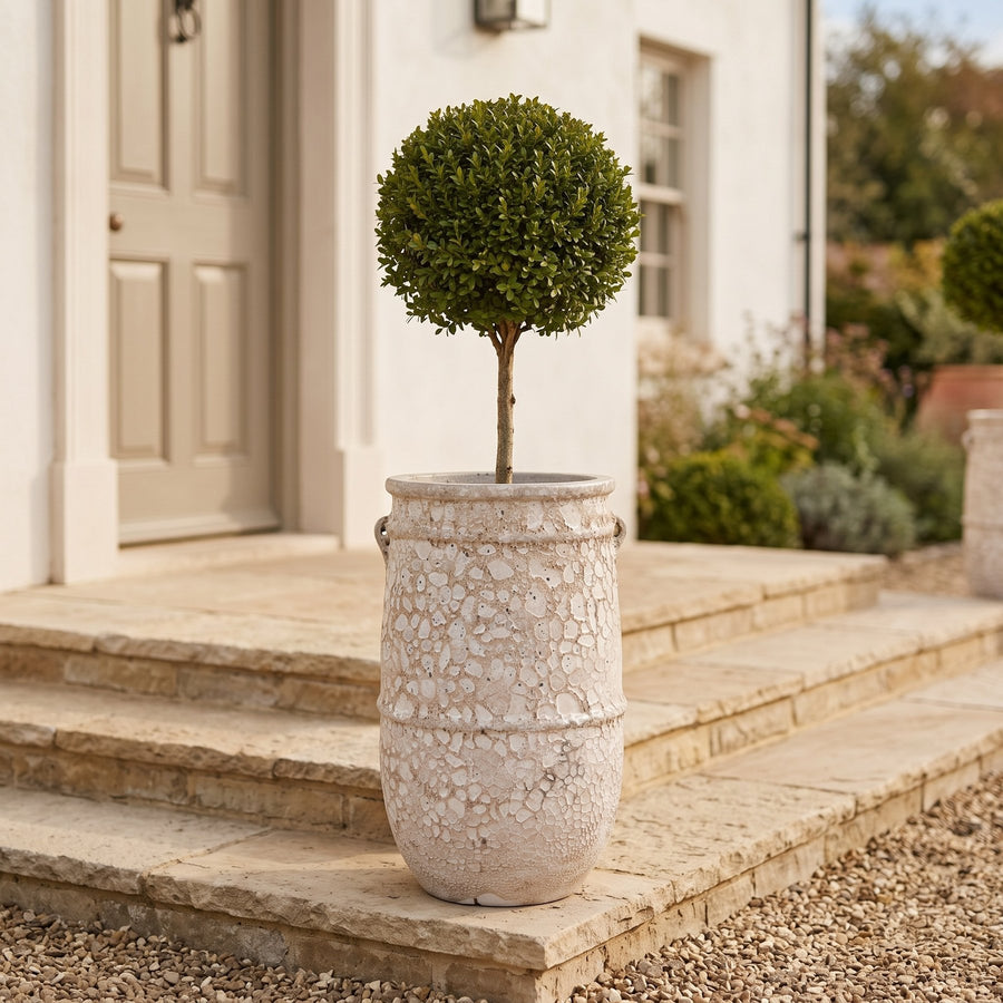 Pflanzkübel Tony Weiß craquelé 68 cm auf der Terrasse