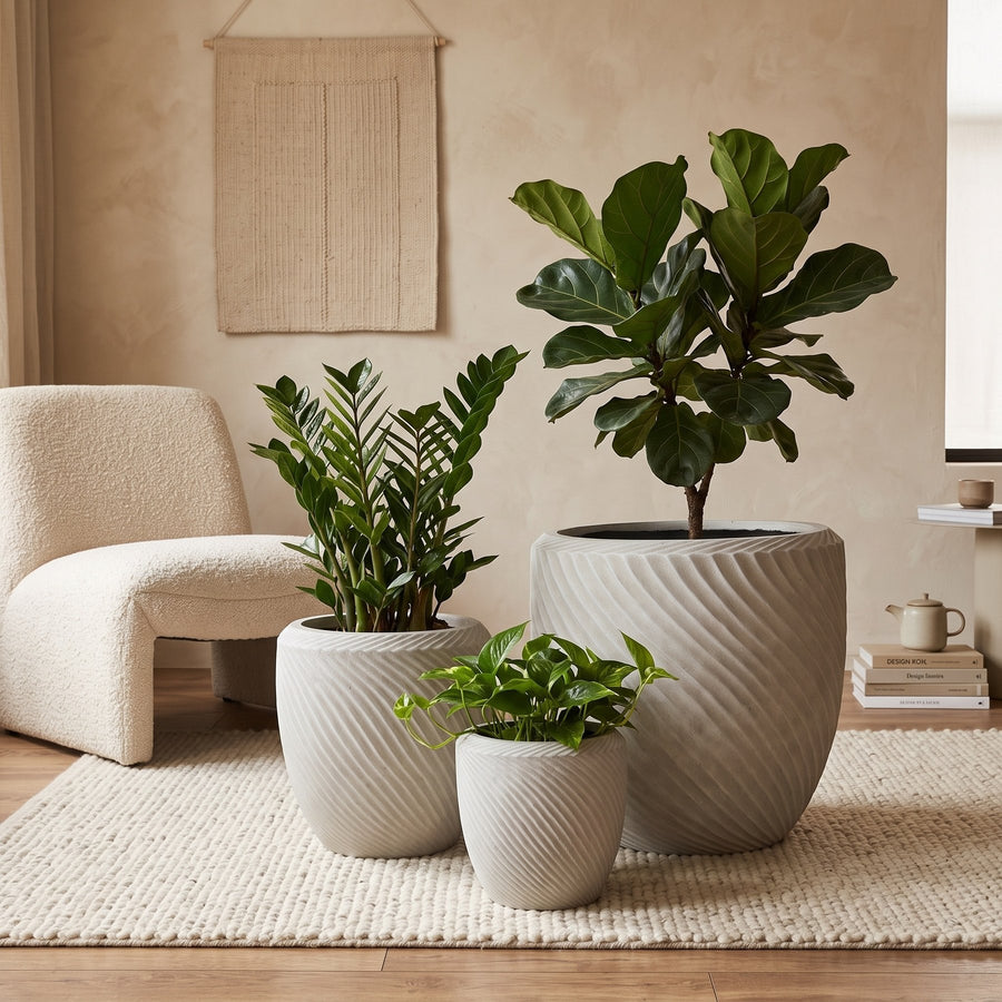 Übertopf-Set Nikol Beige 3-teilig 55 cm im Raum