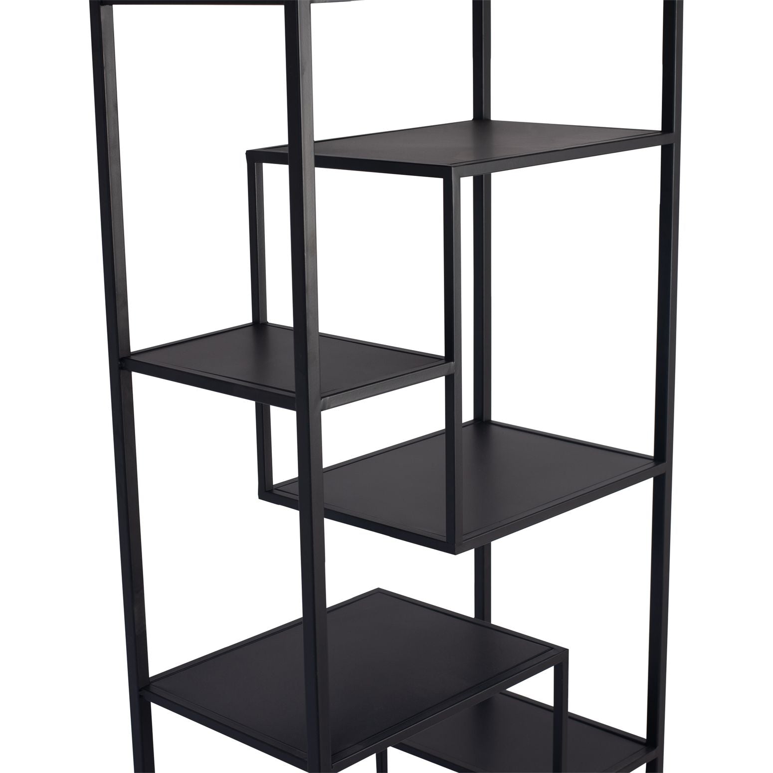 Regal Duana Playful Black | PTMD