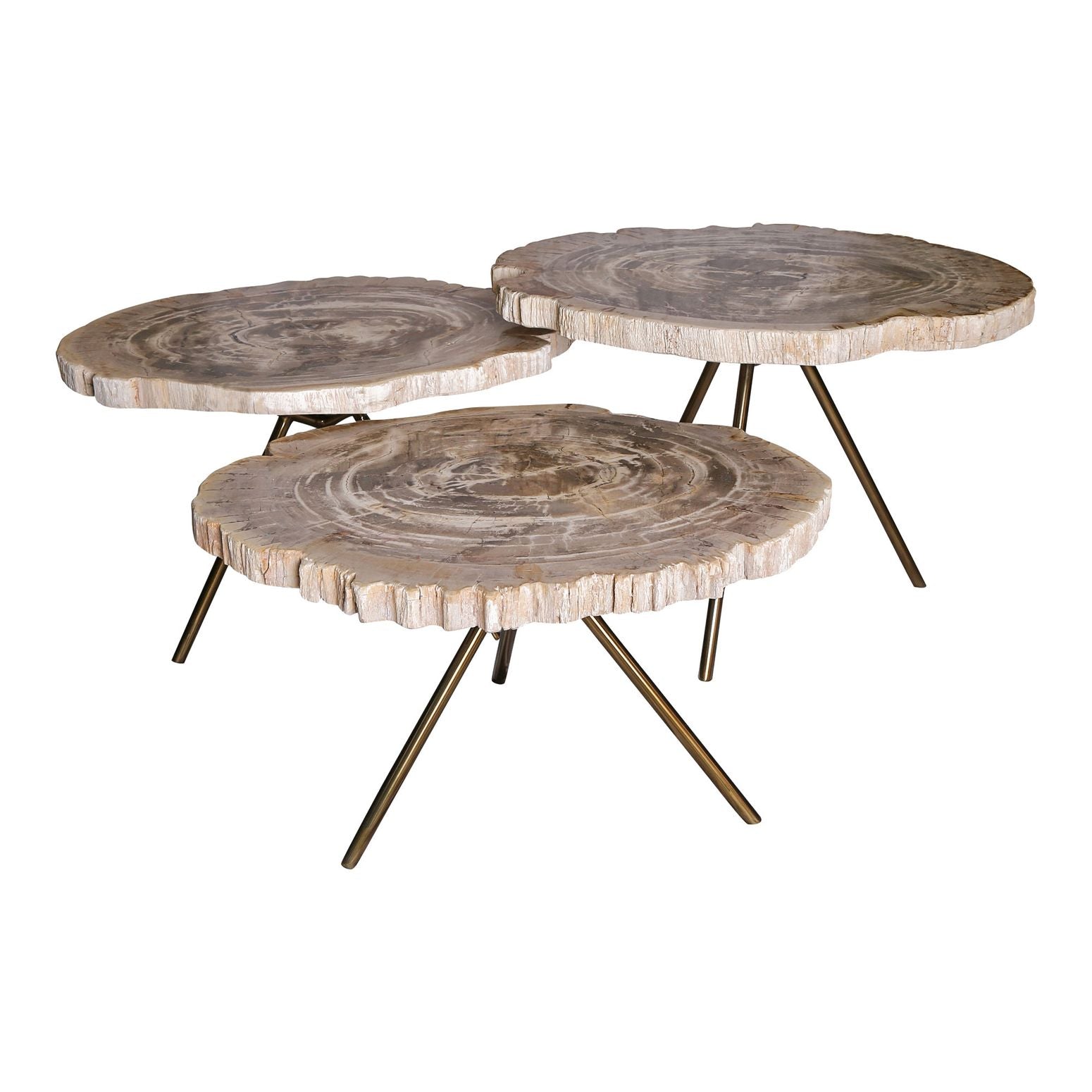 New Khine 3-Set Couchtische aus versteinertem Holz mit Metallbeinen in verschiedenen Größen