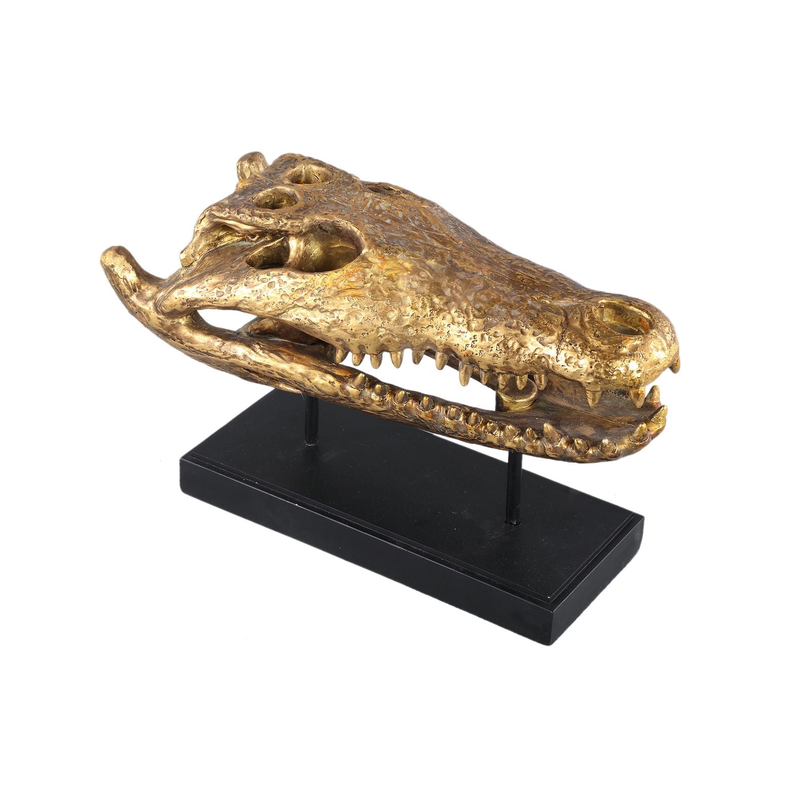 Statue Krokodil Schädelkopf Calita Gold