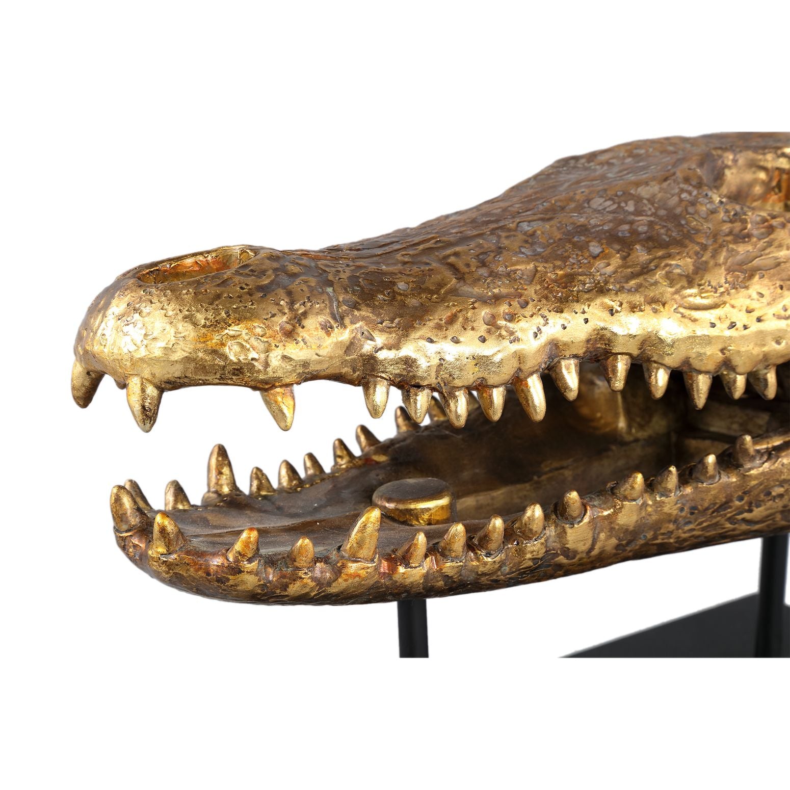 Statue Krokodil Schädelkopf Calita Gold
