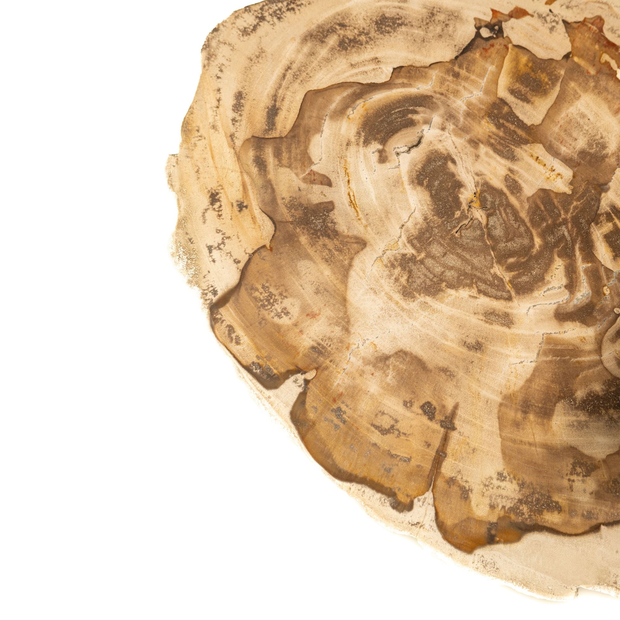 Beistelltisch Jisse Natural Versteinertes Holz