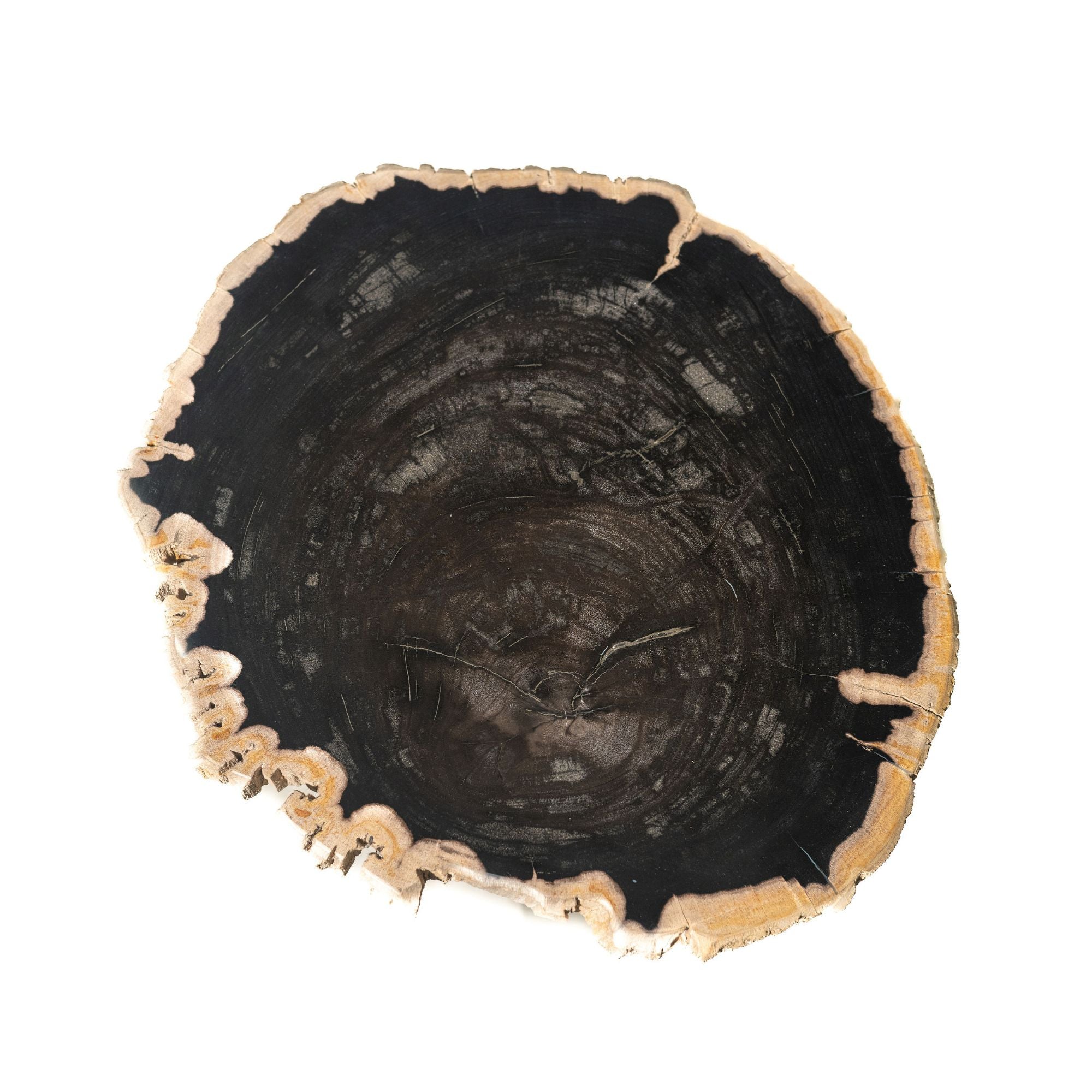 Beistelltisch Jisse Black Versteinertes Holz