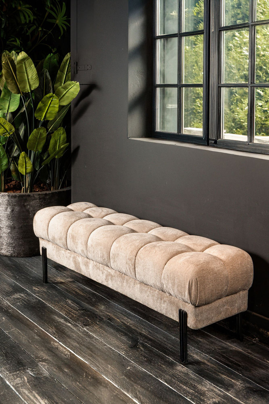 Indoor Bank Polsterbank Melbourne beige in beige | Ptmd | zeitloses Design, hochwertig verarbeitet, ideal für Wohn- und Essbereich