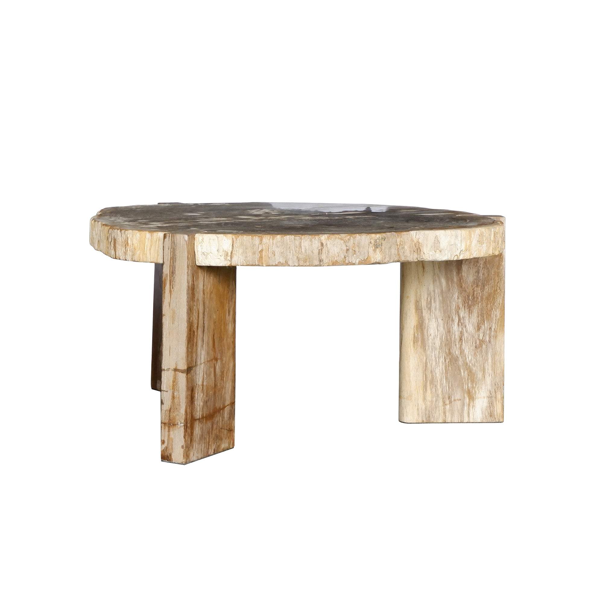Couchtisch Kayo aus versteinertem Holz rund Natur Unikat | PTMD bei STUFF Shop kaufen