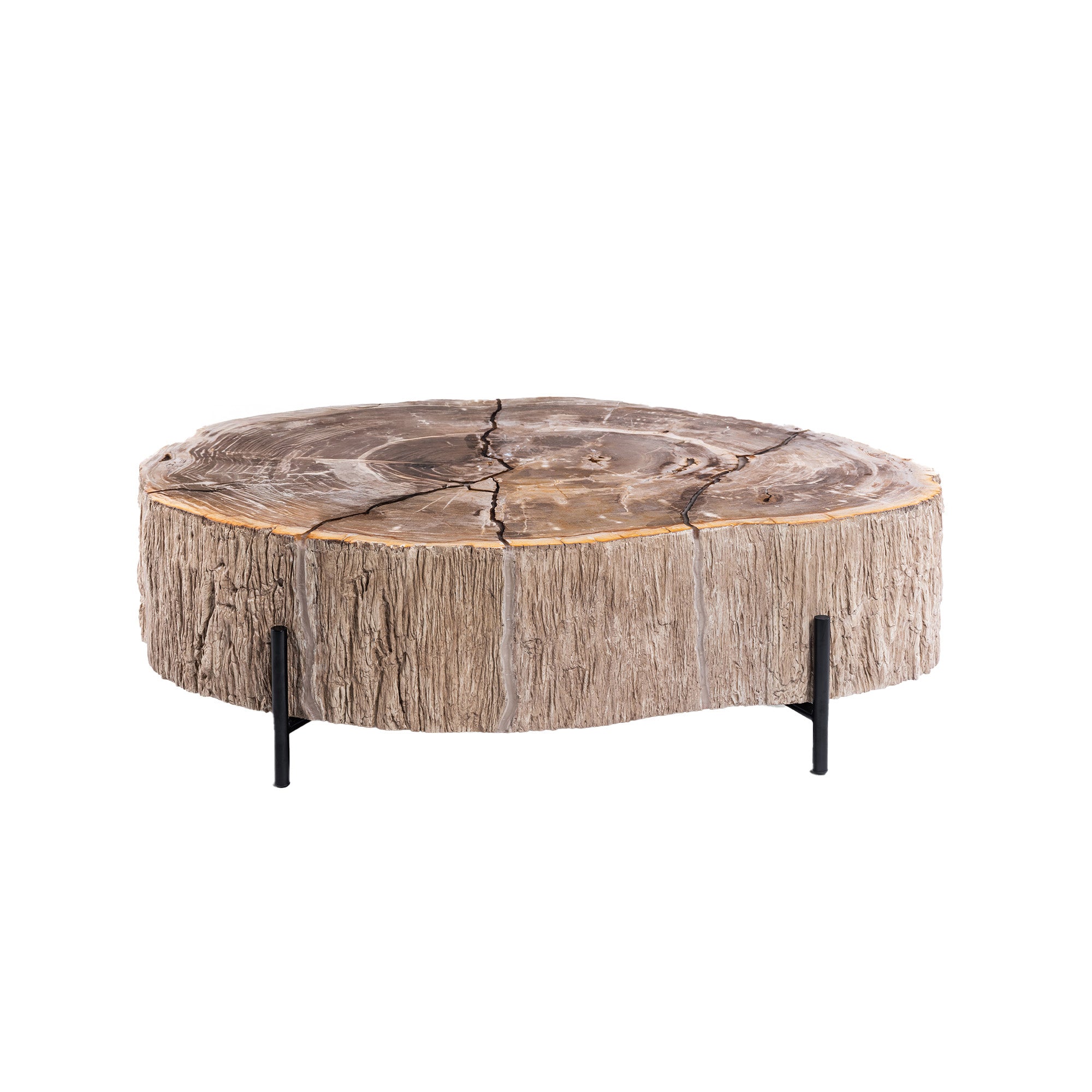 Couchtisch Taly aus versteinertem Holz mit Metallfüßen Design Tisch | PTMD bei STUFF Shop kaufen