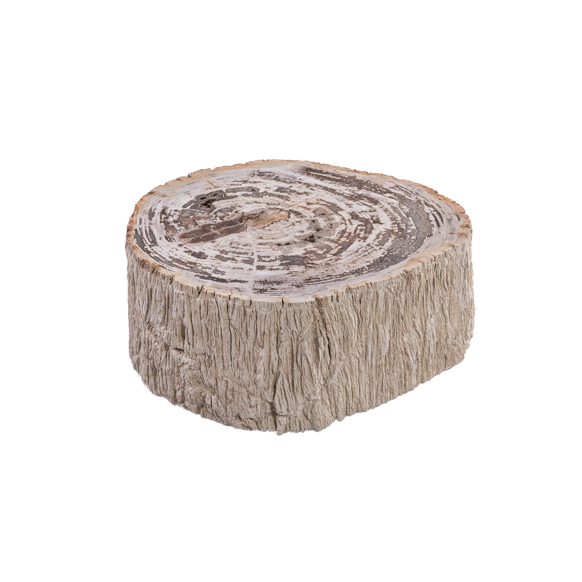 Beistelltisch Taly Natur aus versteinertem Holz kompakt Unikat | PTMD bei STUFF Shop kaufen