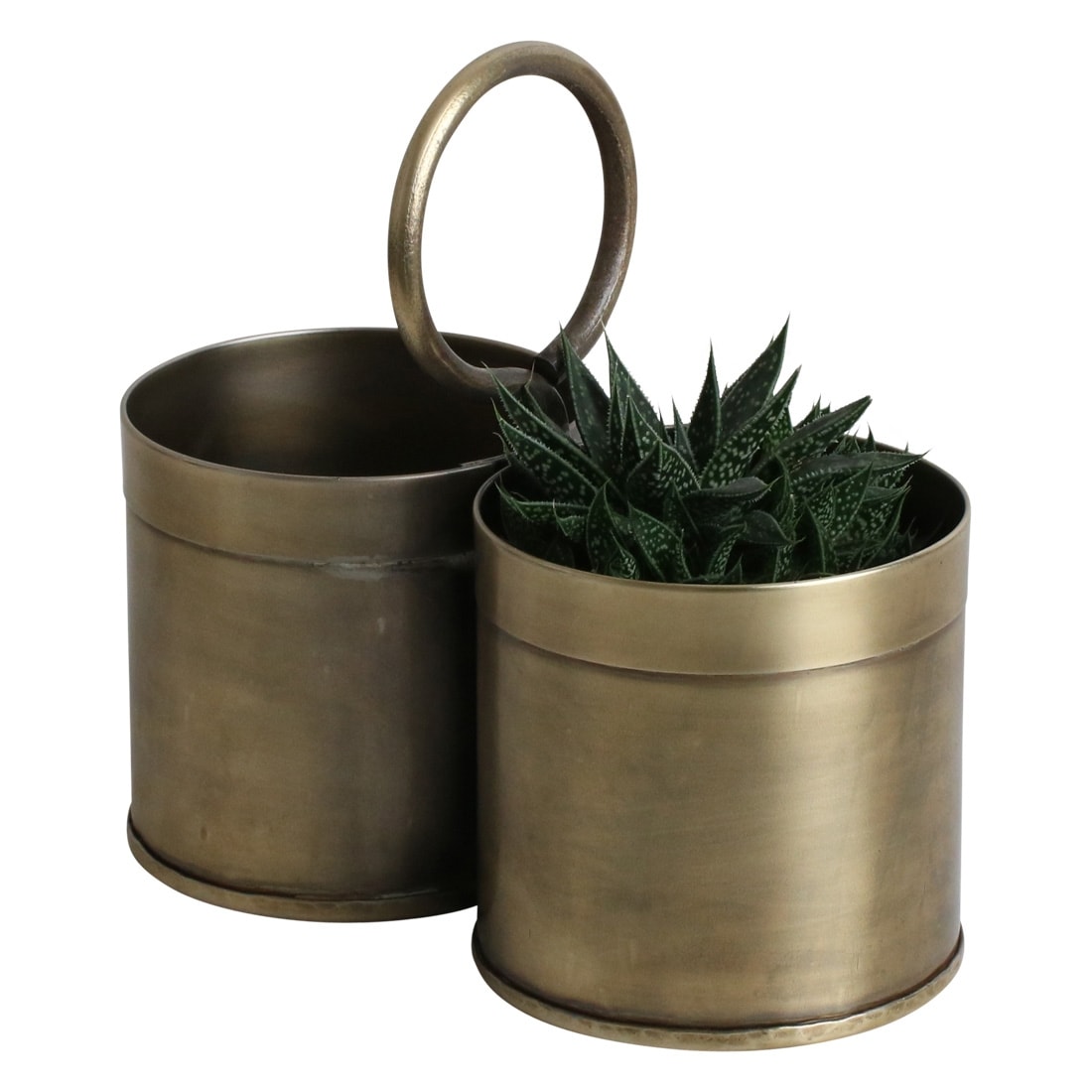 Zwei Vintage Messing Töpfe für Kräuter und Besteck mit Pflanze
