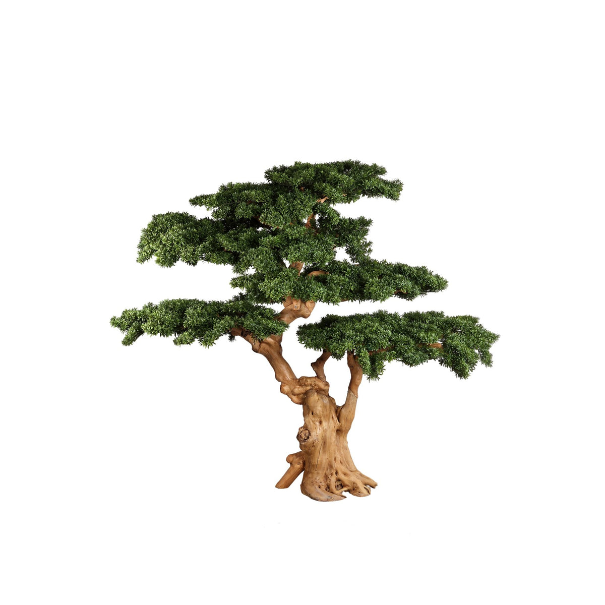 Kunst Bonsai-Kiefer XXL von PTMD, freigestellt