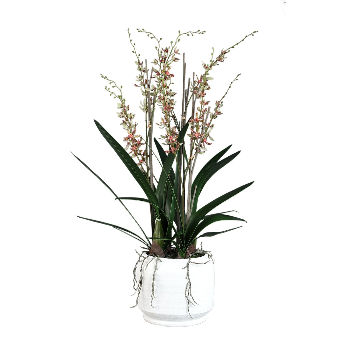Kunst Orchidee Renanthera Rosé im Keramiktopf von PTMD, freigestellt