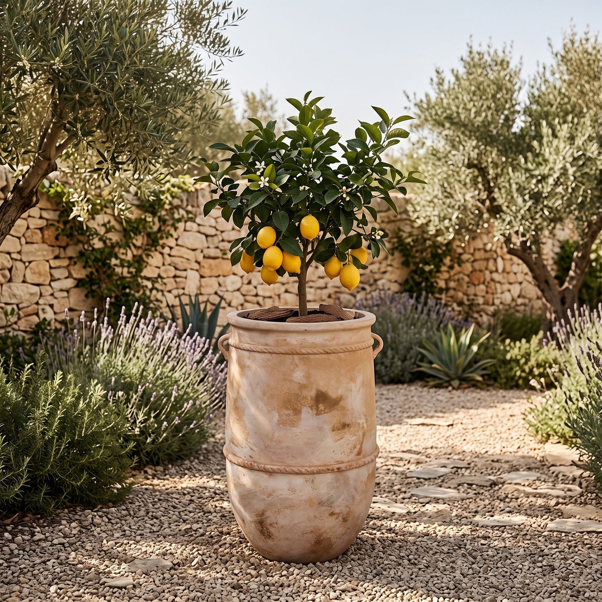 Pflanzkübel Tony Terracotta 95 cm auf der Terrasse